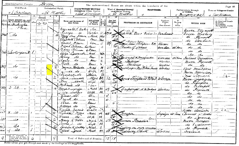 Louisa Baldwin 1901 census returns