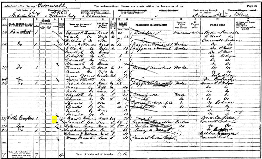 Mary Ann Holman 1901 census returns