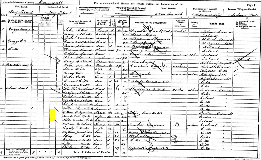 William and Sarah Rose Lyndon 1901 census returns