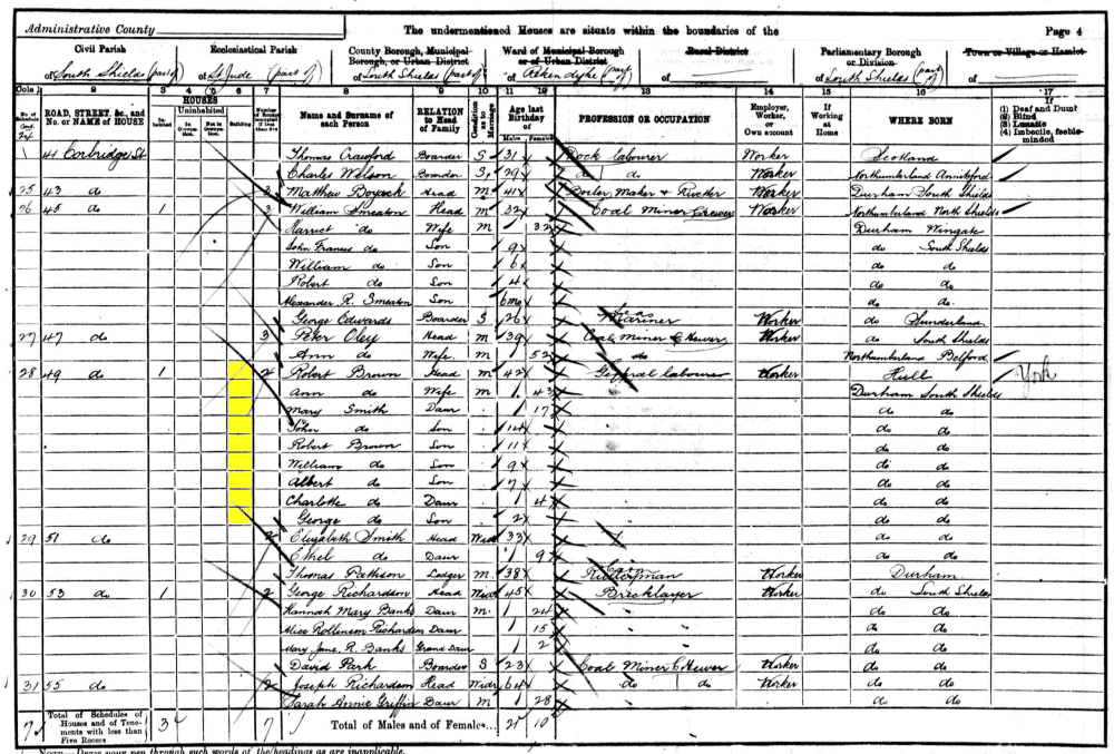 Ann and Robert Brown 1901 census returns