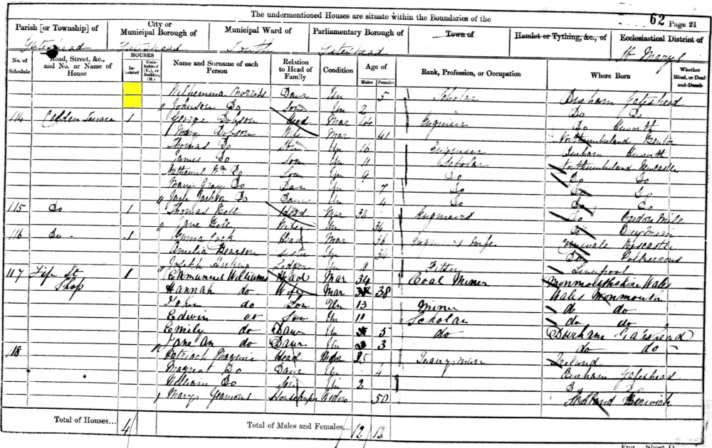 Johnson Morriss and Wilhelmina Morriss 1861 census returns