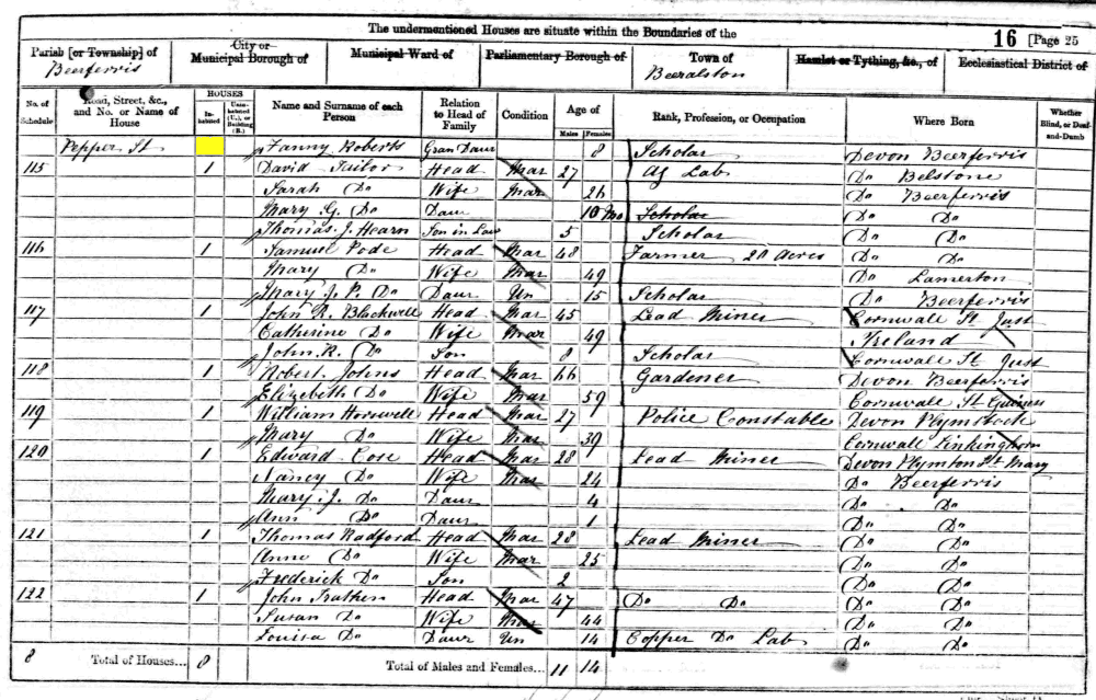 Fanny Roberts 1861 census returns