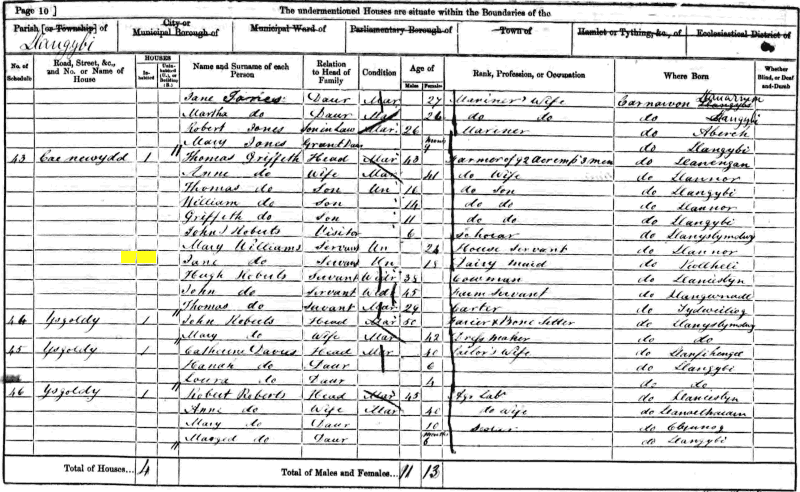 Jane Amelia Williams 1861 census returns
