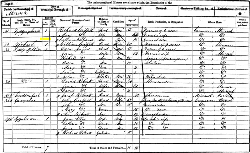 Catherine Williams 1861 census returns