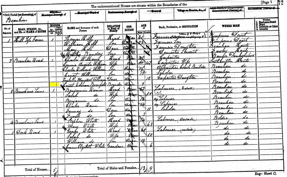 Ernest Holman Barnfield 1871 census returns