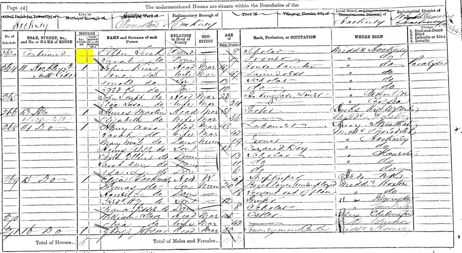 John and Ann Tuck and family 1871 census returns