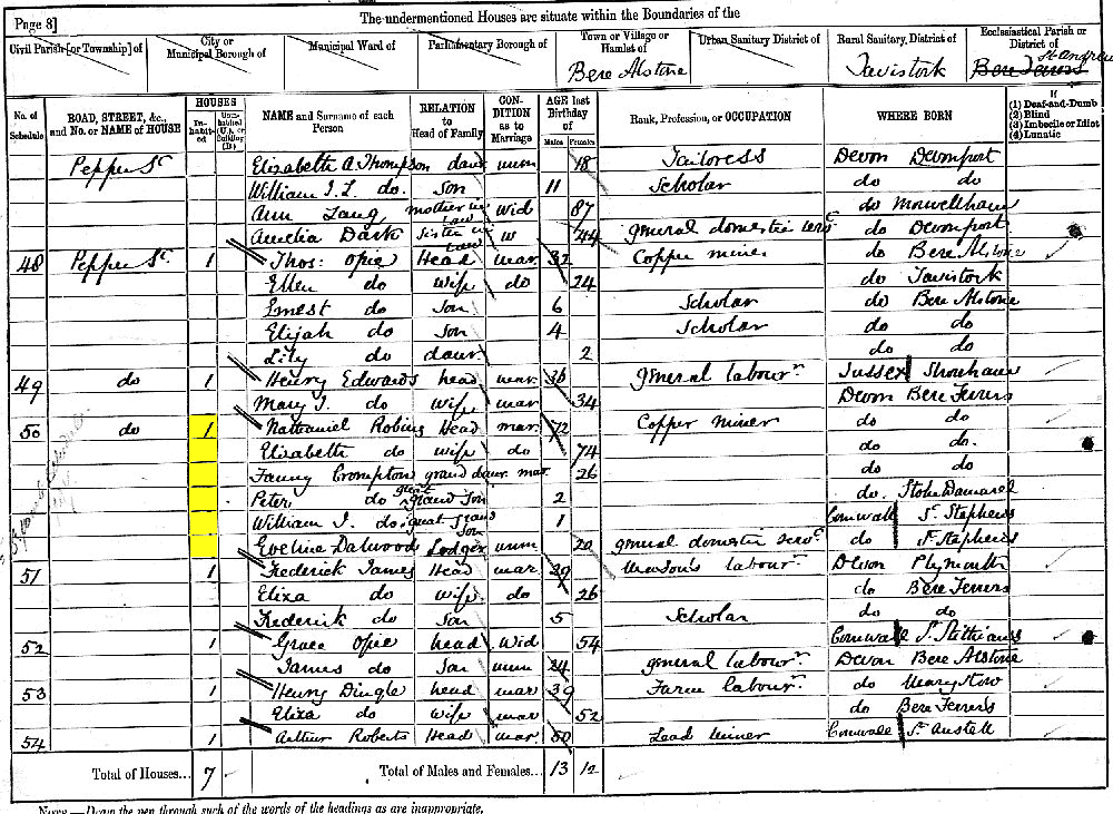 Nathaniel Robins 1881 census returns