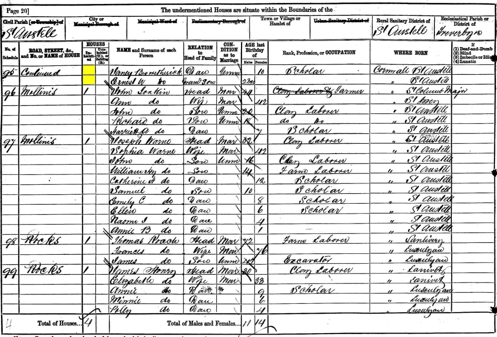 Janie Beswetherick 1881 census returns