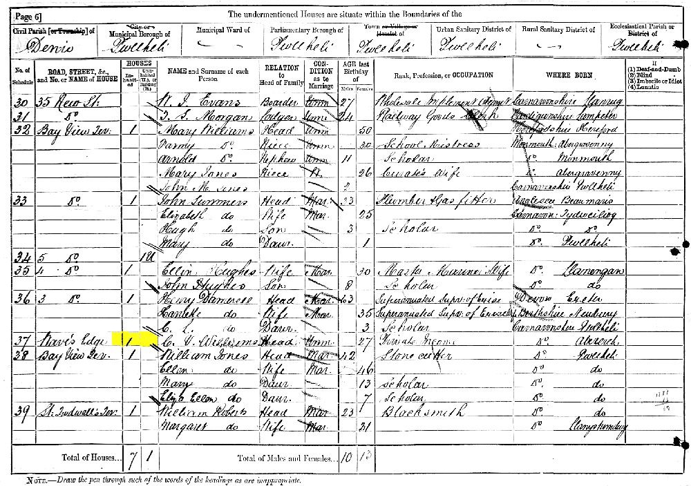 Caroline V Williams 1881 census returns