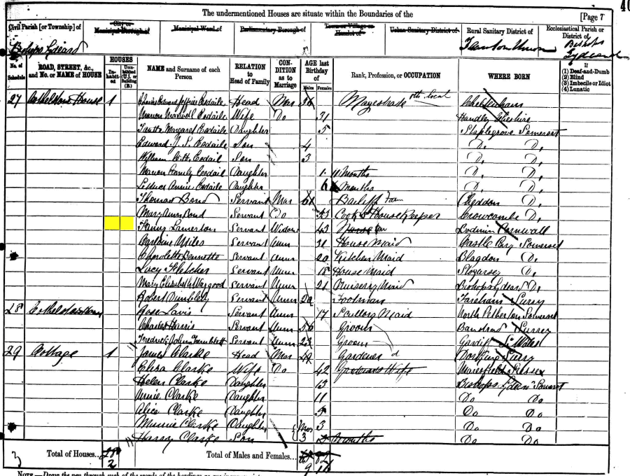 Fanny Lamerton 1881 census returns