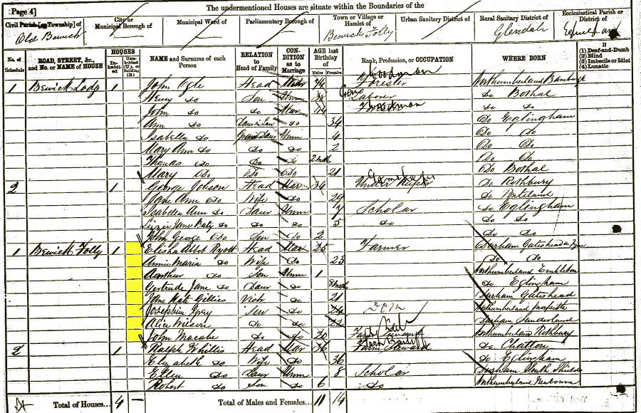 Elisha Abbot and Anna Marie Ryott 1881 census returns