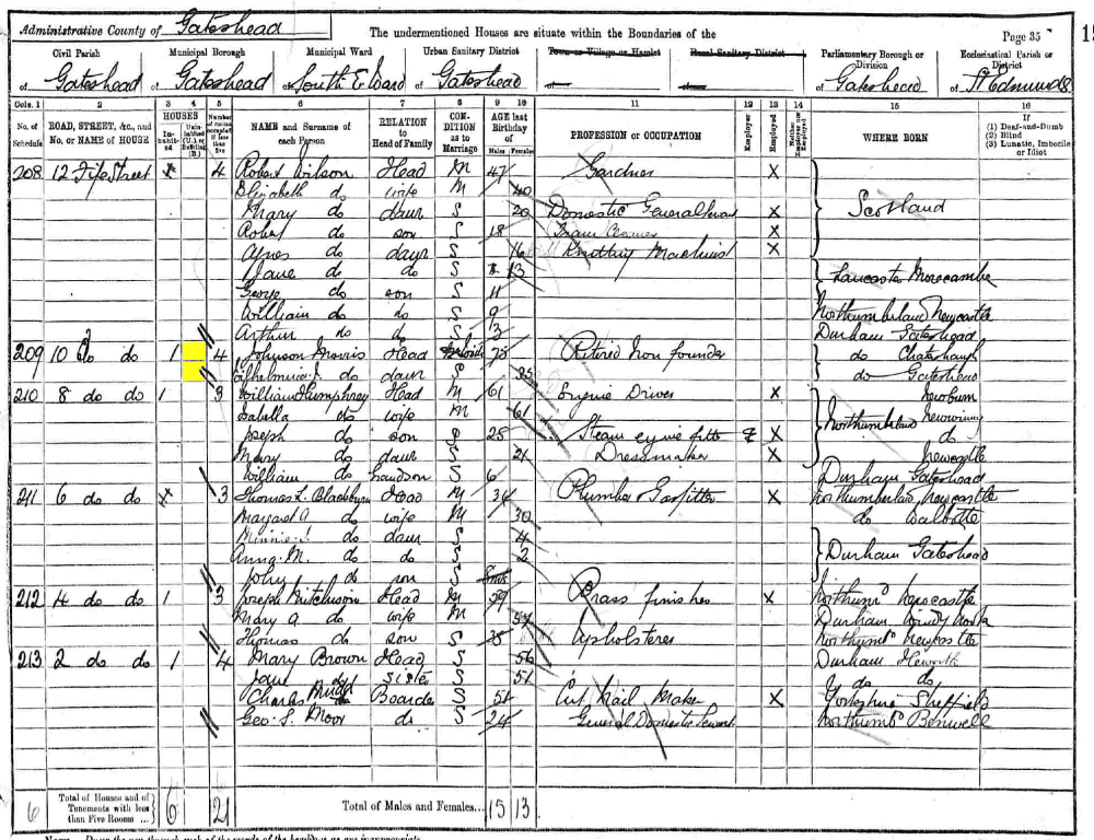 Johnson Morriss and Wilhelmina Morriss 1891 census returns