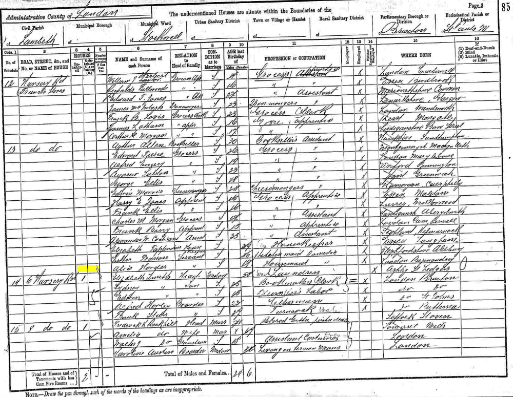 Alice Horder 1891 census returns