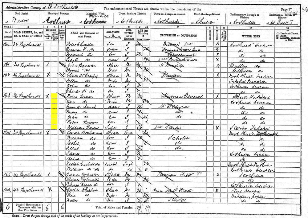 Ann and Robert Brown 1891 census returns