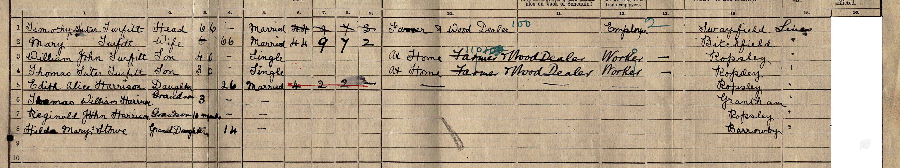 1911 census returns for Timothy Suter and Mary Turfitt and family