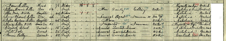 1911 census returns for William Downie and Alice Mary Gillies and family