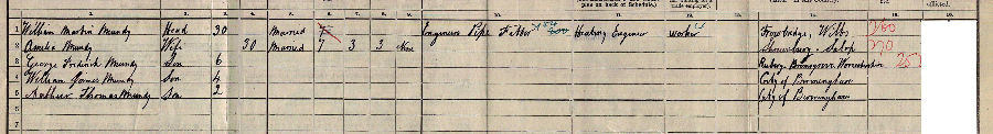 1911 census returns for William Martin and Amelia Mundy and family