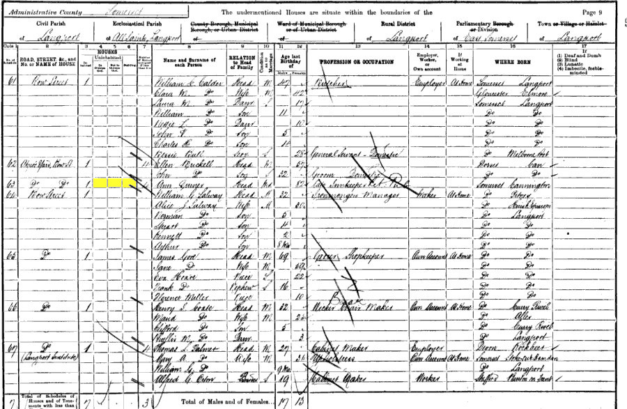 1901 census returns for Ann Turner