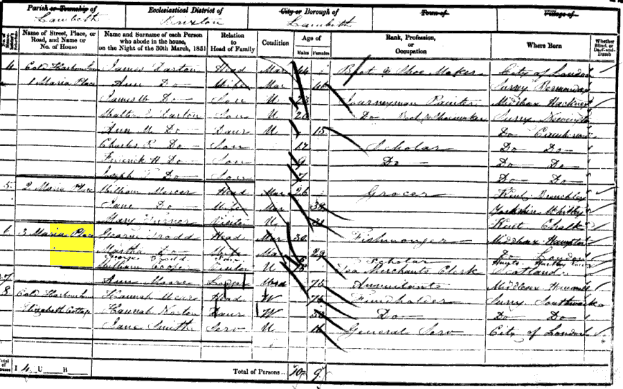 1851 census returns for George Trodd and family