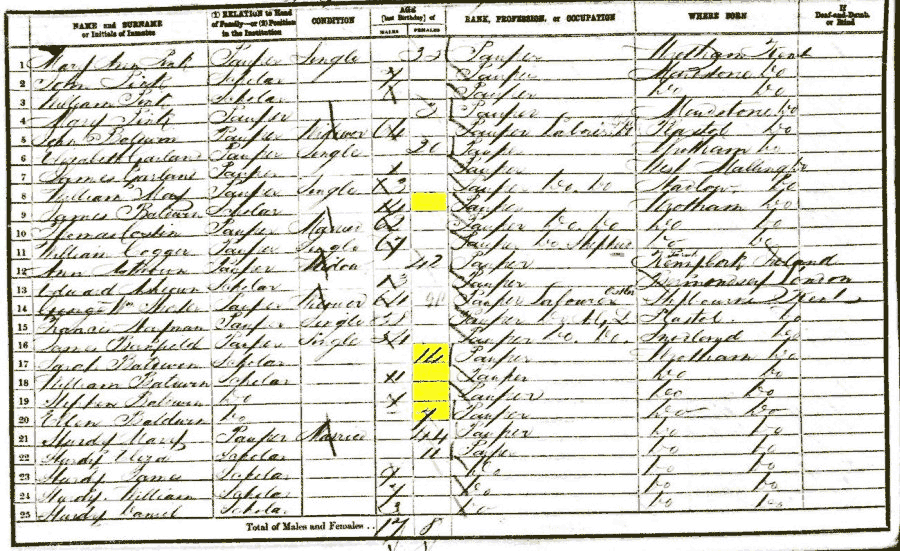 1861 census returns for Baldwin Family