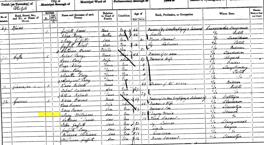 1861 census returns for Mary Eliza Williams