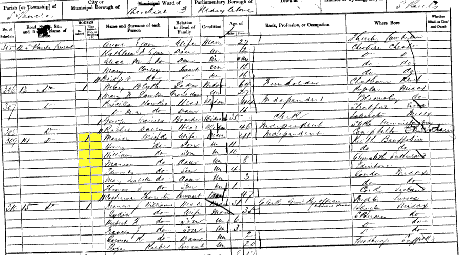 1861 census returns for Marion Cairns Wicks