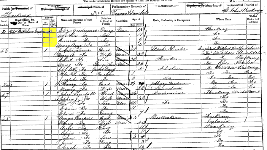 1861 census returns for family of Edward and Louisa Goodman