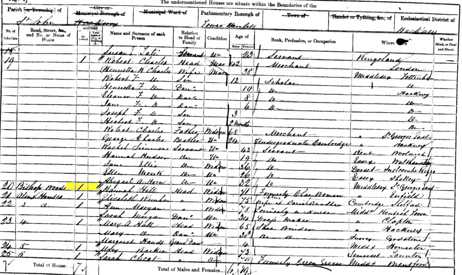 1861 census returns for Hannah Hill