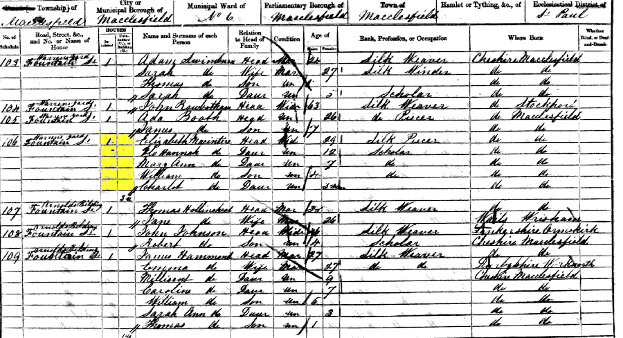 1861 census returns for Elizabeth McIntyre and family