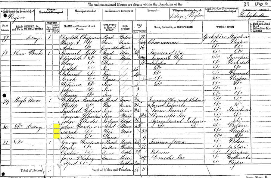 1871 census returns for John and Sarah Wardman and Alice