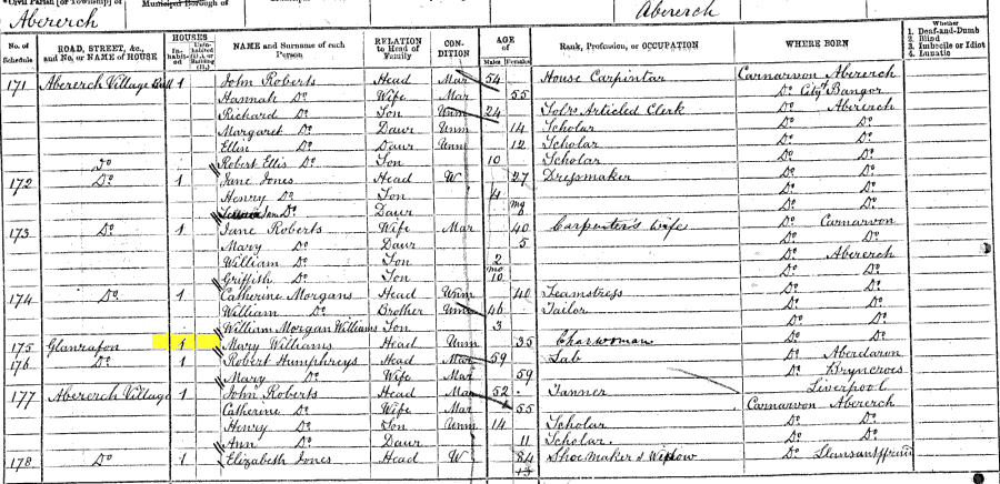 1871 census returns for Mary Eliza Williams