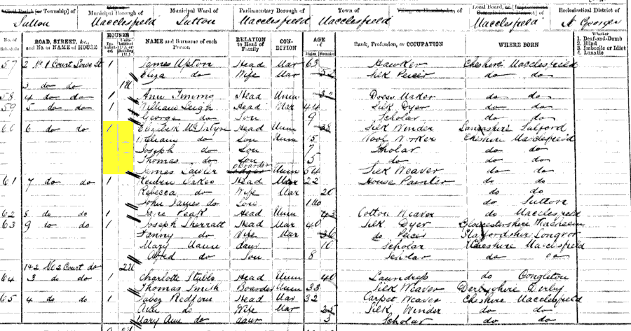1871 census returns for Elizabeth McIntyre and family