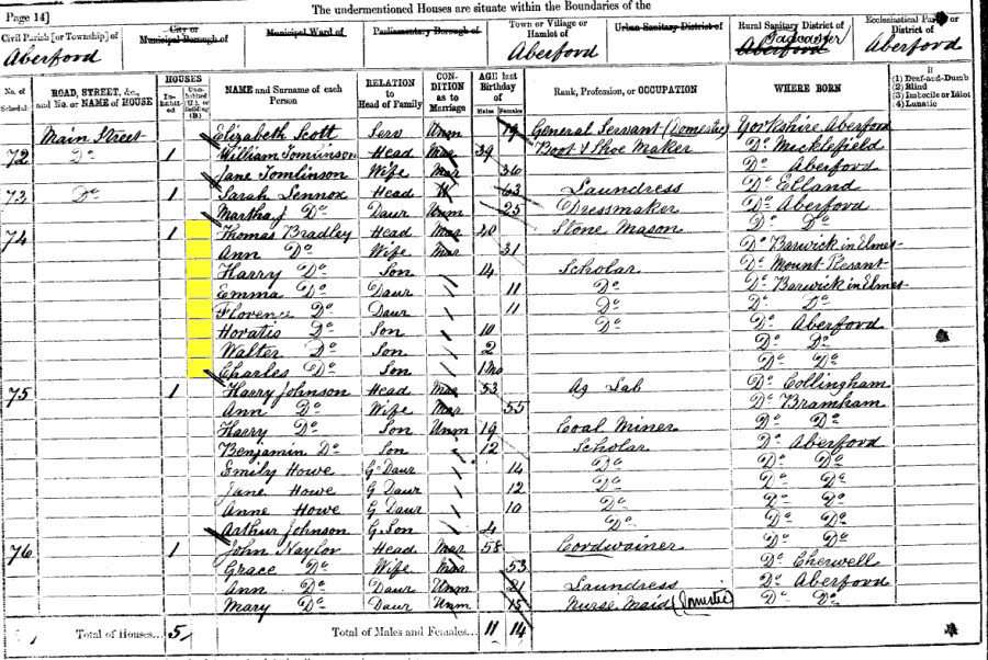 1881 census returns for Thomas and Ann Bradley and family