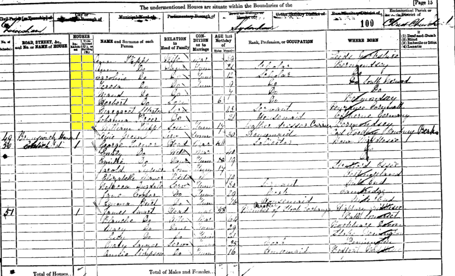 1881 census returns for Anne Maria Kipps and family