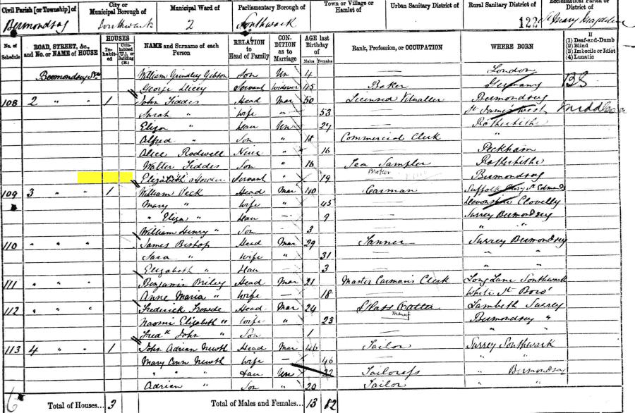 1881 census returns for Elizabeth Horder