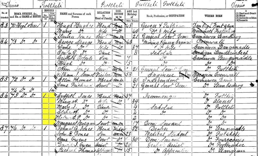 1881 census returns for Griffith and Mary Ann Jones and family