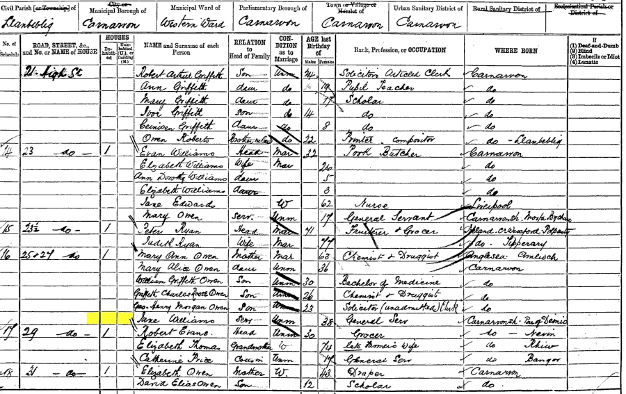 1881 census returns for Jane Amelia Williams