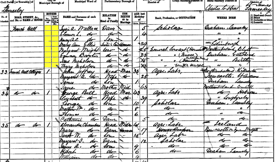 1881 census returns for family of Henry and Jessie Wallace