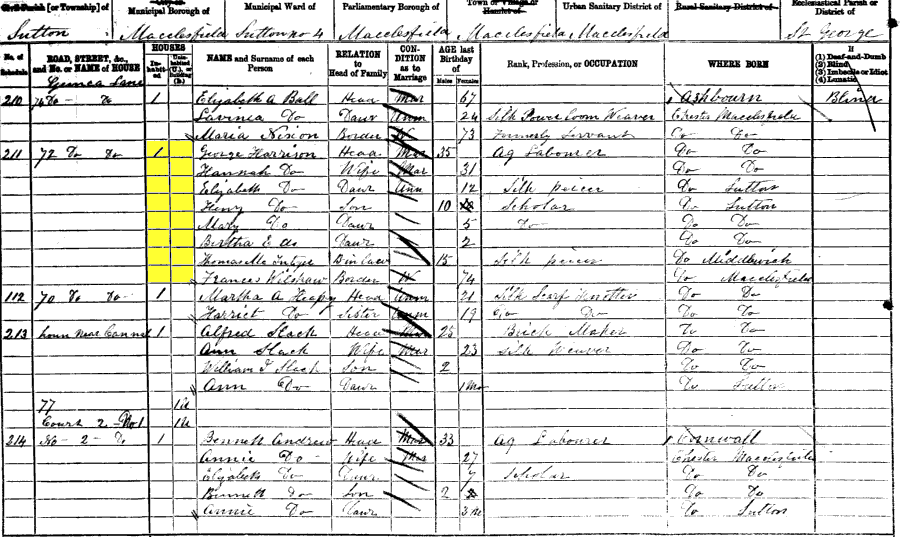 1881 census returns for George and Hannah Harrison and family
