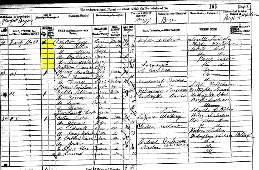 1881 census returns for George and Ellen Dawson and family