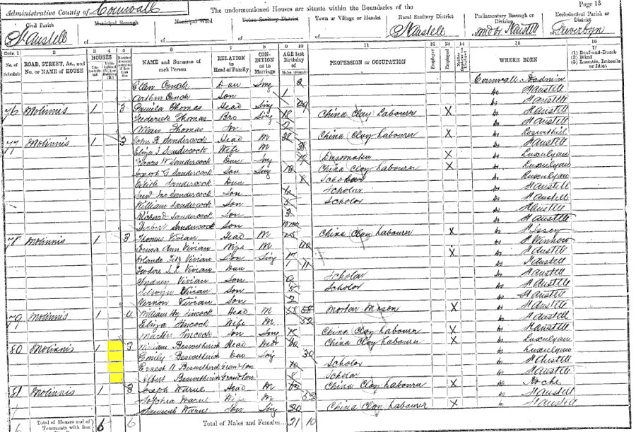 1891 census returns for William Beswetherick and family