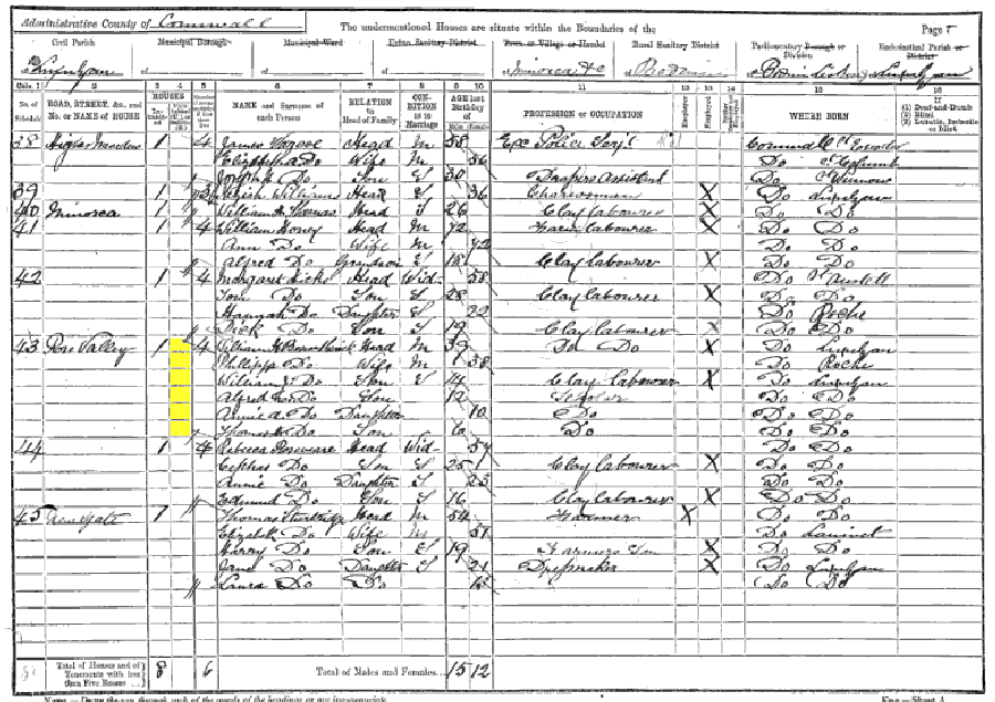 1891 census returns for William Henry Beswetherick and family
