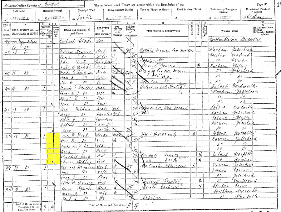 1891 census returns for James Wilson and Jane Kate Wood