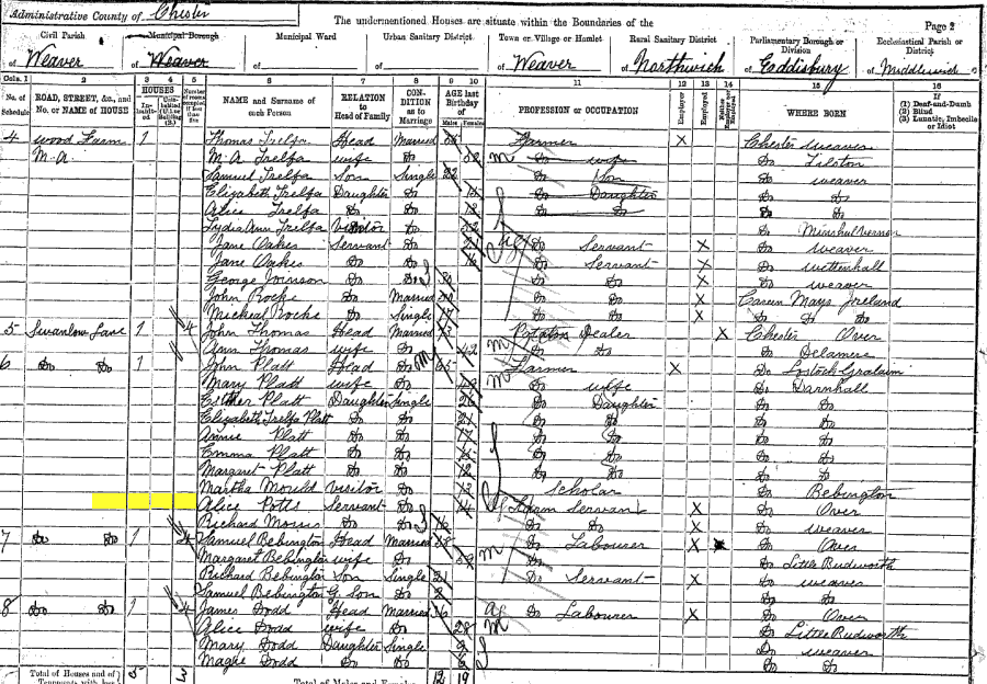 1891 census returns for Alice Potts