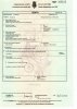 Death Certificate<br />of Shirley Olsen 09 18 12 2023